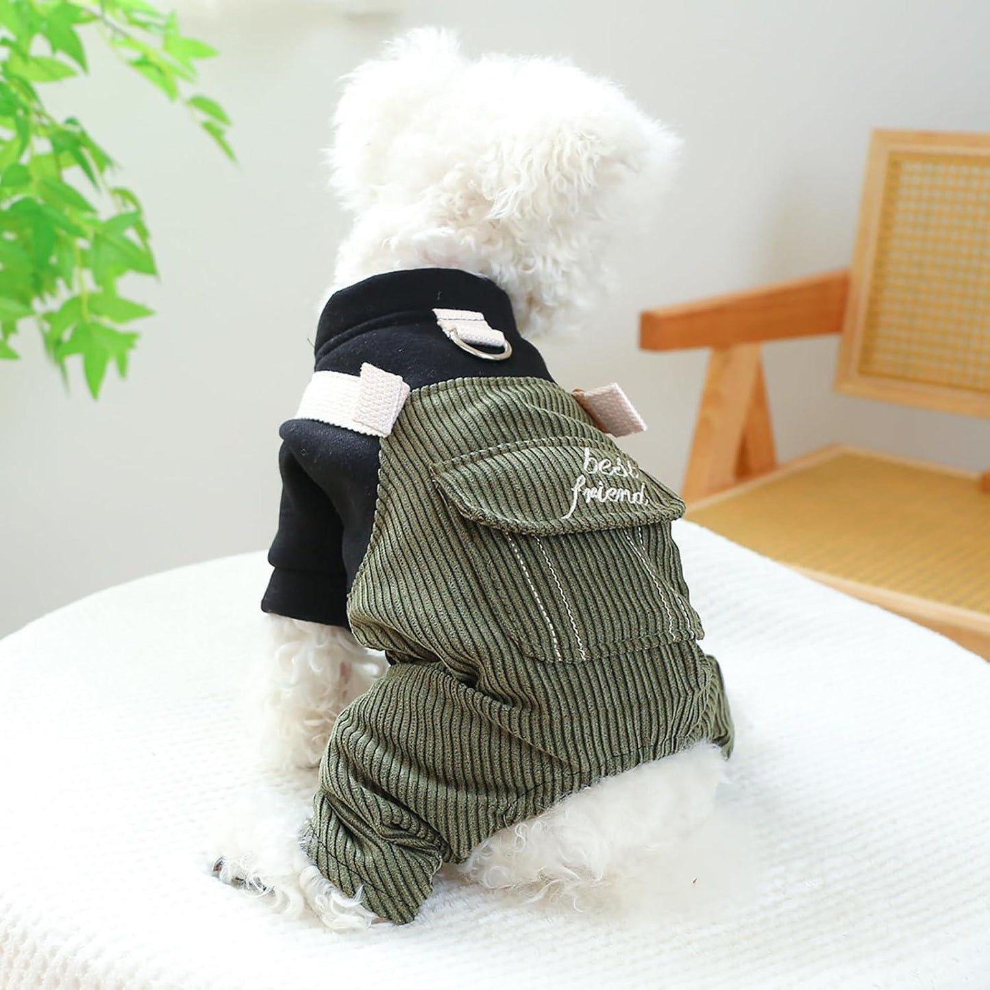 Dog One-Piece Outfit - Soft Corduroy Sweater & Overalls with Elastic Waist & Buckle Closure, Green\u002FBeige Striped Pattern, Warm Winter Clothes for Small Dogs Chihuahua Dachshund, Cozy Daily & Holiday Jumpsuit Costume
