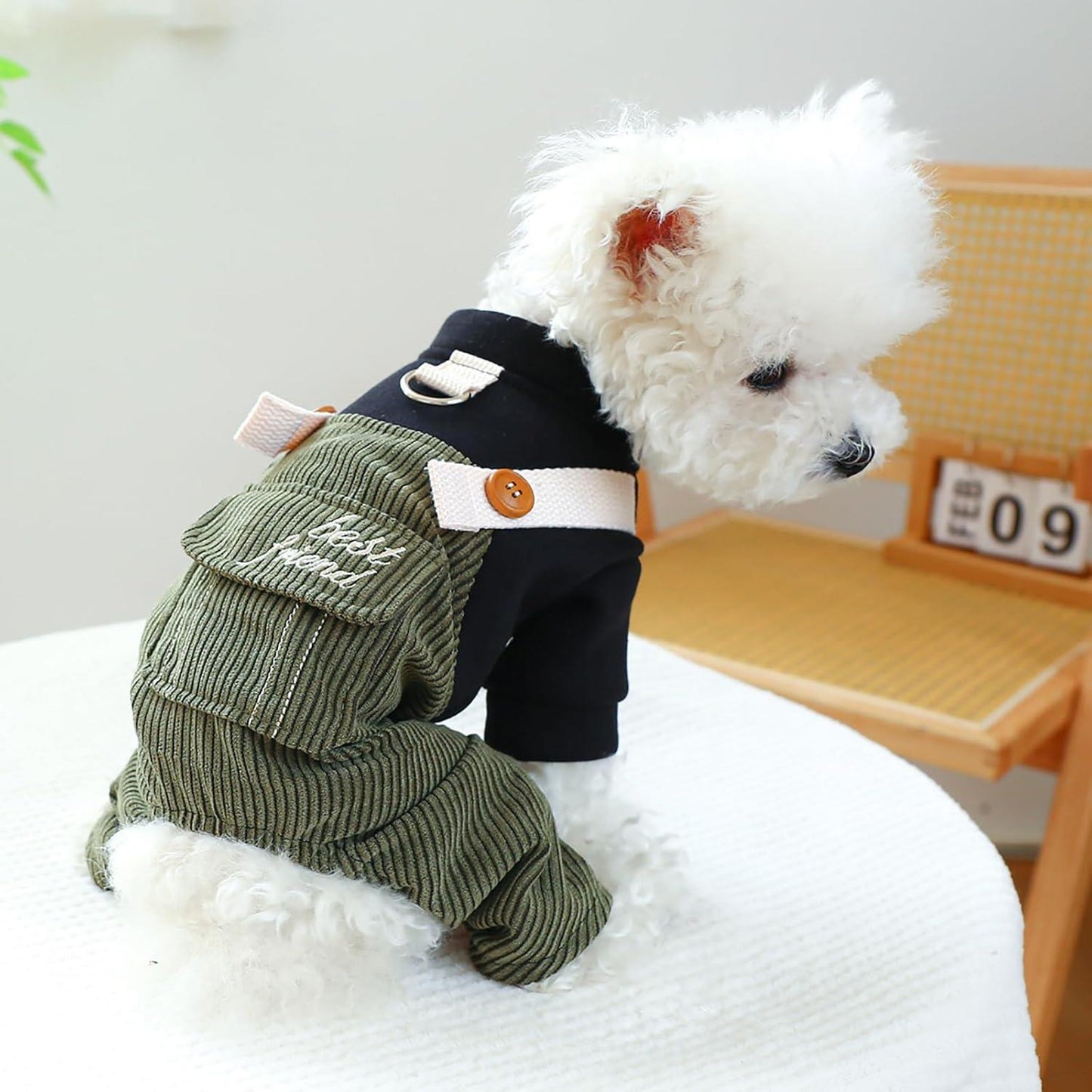 Dog One-Piece Outfit - Soft Corduroy Sweater & Overalls with Elastic Waist & Buckle Closure, Green\u002FBeige Striped Pattern, Warm Winter Clothes for Small Dogs Chihuahua Dachshund, Cozy Daily & Holiday Jumpsuit Costume