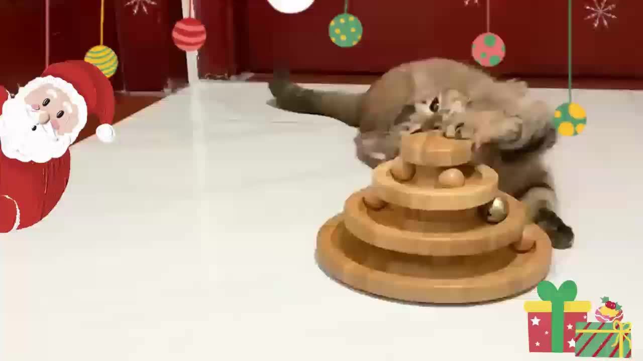 A Small Cat And Dog Carousel Track Toy, Bell Toy, 3 Layers Of Cat Ball Tower (with 9 Detachable Balls), Interactive Roller Toy, Circle Track DIY Fun Kitten And Puppy Sports Toy, with Self-fun And Decompression Relaxation Function,, Holiday Gifts