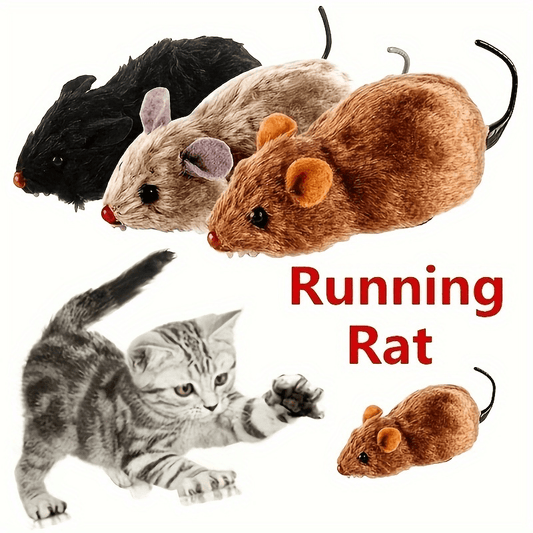 1pc Cat and Dog Toy, Durable Plastic, All Breed Sizes, Battery-free Clock Mouse Toys