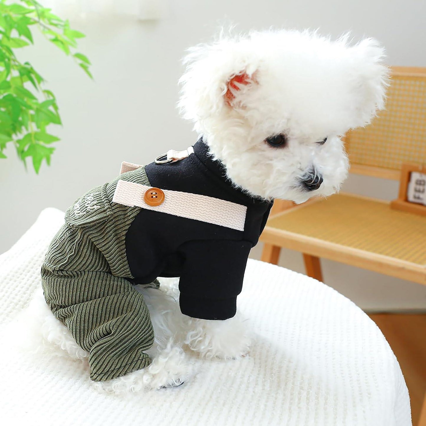 Dog One-Piece Outfit - Soft Corduroy Sweater & Overalls with Elastic Waist & Buckle Closure, Green\u002FBeige Striped Pattern, Warm Winter Clothes for Small Dogs Chihuahua Dachshund, Cozy Daily & Holiday Jumpsuit Costume